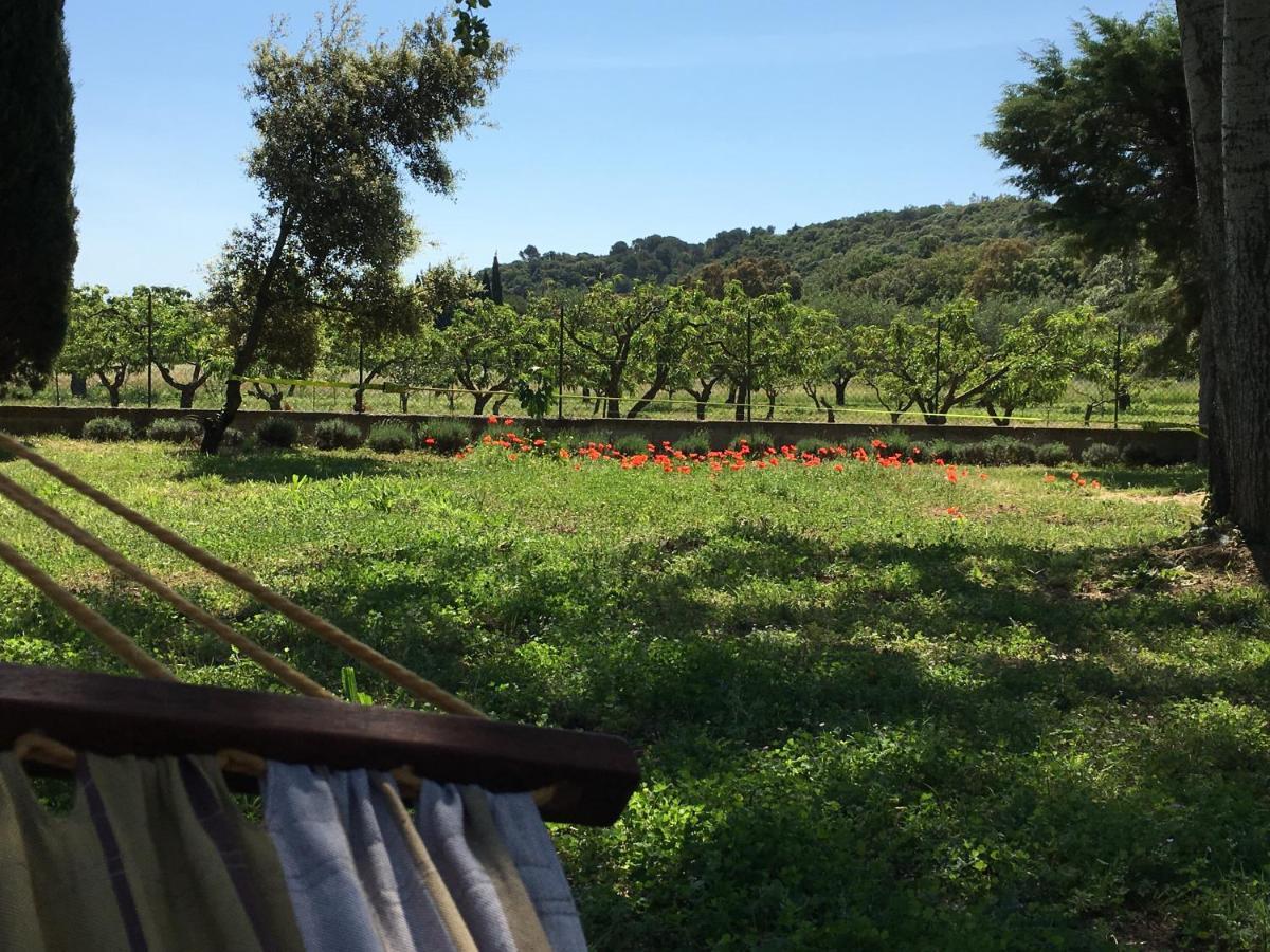 Le Chene Et L'Eau Bed and Breakfast Roquebrune-sur Argens Exteriör bild