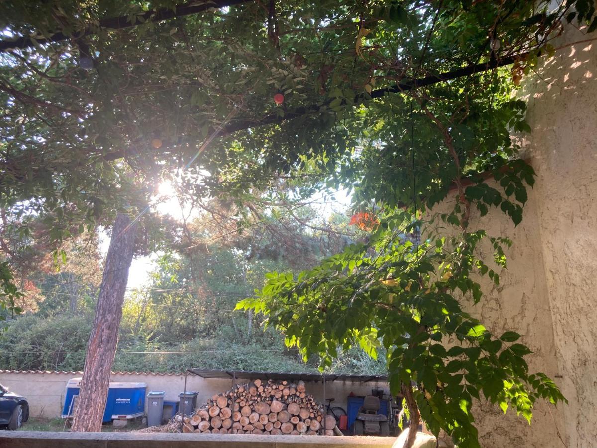 Le Chene Et L'Eau Bed and Breakfast Roquebrune-sur Argens Exteriör bild