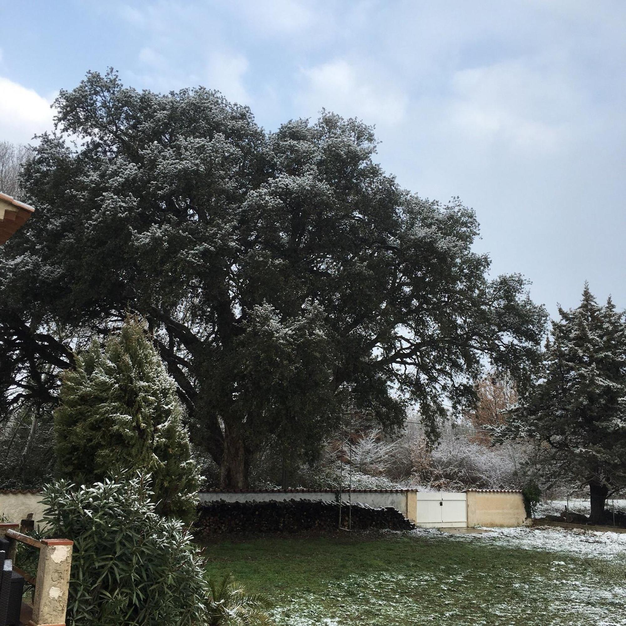 Le Chene Et L'Eau Bed and Breakfast Roquebrune-sur Argens Exteriör bild